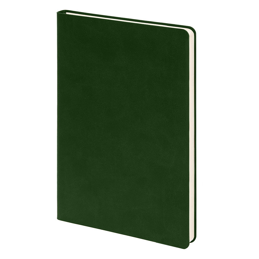 Бизнес-блокнот FUNKY, 130*210 мм, зеленый, красный форзац, мягкая обложка, в линейку