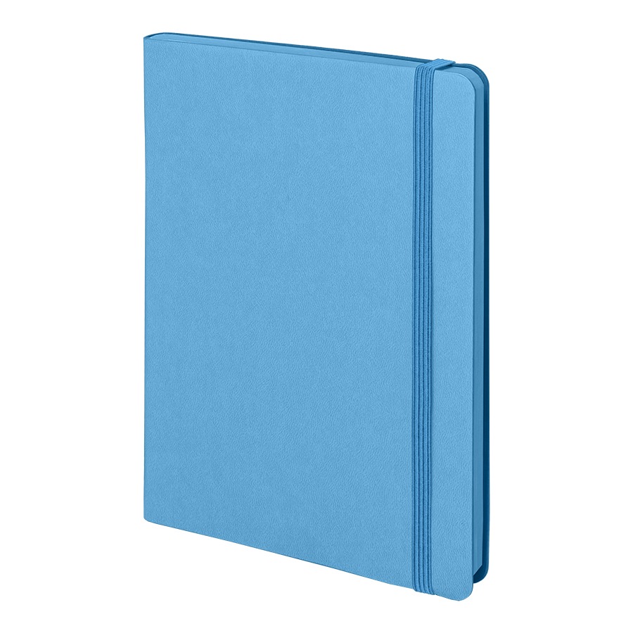 Бизнес-блокнот "RILY", формат А5,  голубой, блок в точку